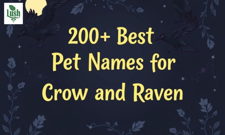 200+Best Pet Names for Crow and Raven