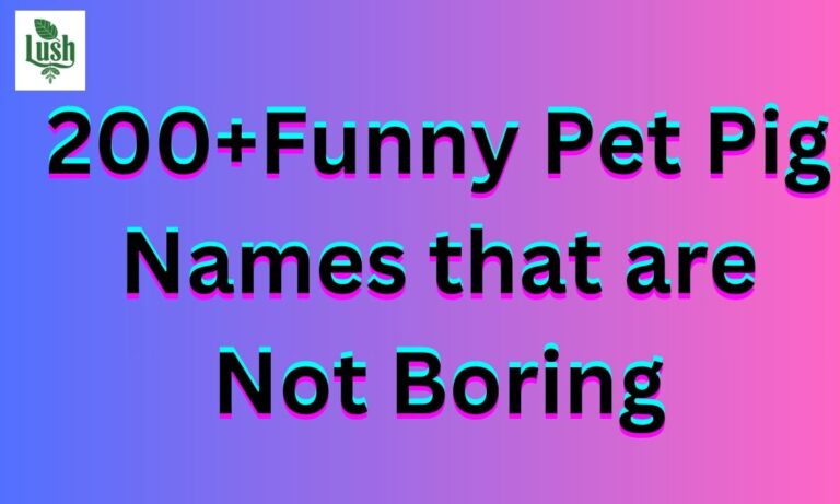 200+Funny Pet Pig Names that are Not Boring